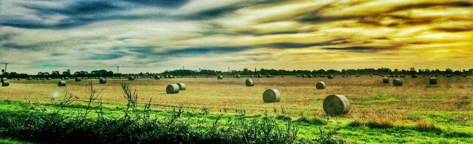 Hay bales in a field at sunset on Ellie Jake Farm