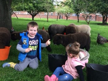 Cuddles with the herd
